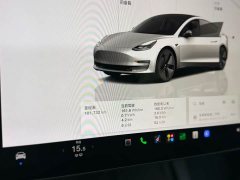Tesla Model 3 Rear-Wheel Drive - ფოტო 6
