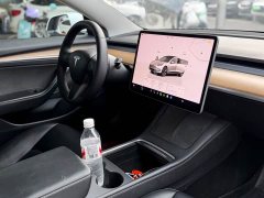 Tesla Model 3 Rear-Wheel Drive - ფოტო 9