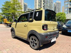 Geely Panda 210km Panda Knight - ფოტო 15