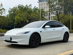 Tesla Model 3 Rear-Wheel Drive - ფოტო 1