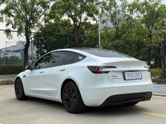 Tesla Model 3 Rear-Wheel Drive - ფოტო 9