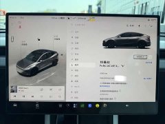 Tesla Model Y Rear-Wheel Drive - ფოტო 5