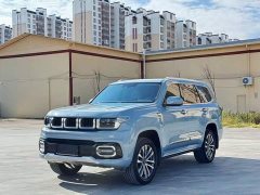 Beijing Jeep BJ60 2022 2.0T Eleventh Edition Five-Seater - ფოტო 1