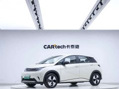 BYD Dolphin 420km Freedom Edition - ფოტო 1
