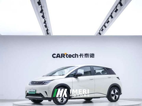 2023 BYD Dolphin 420km Freedom Edition - ავტომობილი ჩინეთიდან