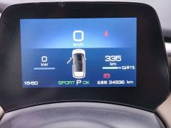 BYD Dolphin 420km Freedom Edition - ფოტო 11