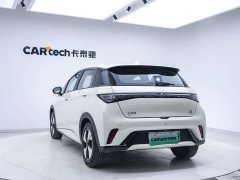 BYD Dolphin 420km Freedom Edition - ფოტო 14