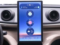 BYD Dolphin 420km Freedom Edition - ფოტო 15