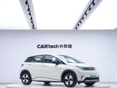 BYD Dolphin 420km Freedom Edition - ფოტო 5