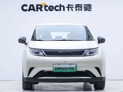 BYD Dolphin 420km Freedom Edition - ფოტო 6