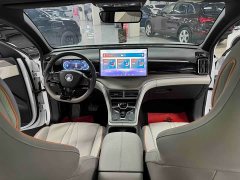 BYD Song Pro New Energy Champion Edition DM-i 110KM Excellence - ფოტო 15
