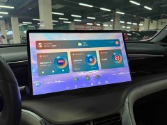 BYD Song Pro New Energy Champion Edition DM-i 110KM Excellence - ფოტო 9