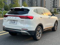 Haval H6 2021 National Trend 1.5T Automatic Champion Edition - ფოტო 6