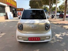 FAW Besturn Xiaoma 170km Vitality Edition - ფოტო 2
