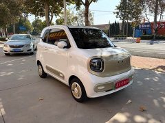 FAW Besturn Xiaoma 170km Vitality Edition - ფოტო 3