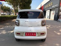 FAW Besturn Xiaoma 170km Vitality Edition - ფოტო 4