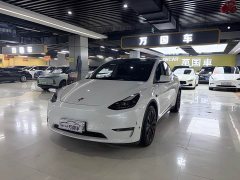 Tesla Model Y Standard Range RWD - ფოტო 1