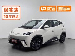 BYD Seagull Freedom Edition - ფოტო 1