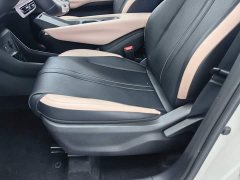 BYD Seagull Freedom Edition - ფოტო 20