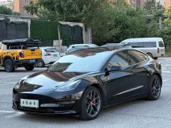 Tesla Model 3 Performance All-Wheel Drive - ფოტო 1