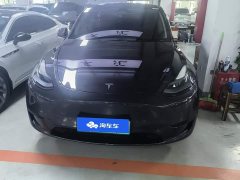 Tesla Model Y Rear-Wheel Drive - ფოტო 2