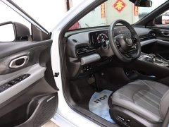 Trumpchi Yingbao 270T DCT Yingbao S Edition - ფოტო 8