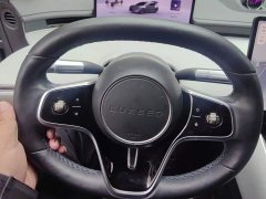 Luxeed Zhiji S7 Max RS - ფოტო 15
