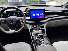 BYD Qin PLUS Glory Edition DM-i 55KM Leading - ფოტო 12