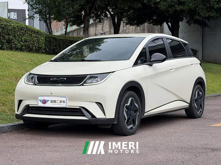 BYD Dolphin 405km Freedom Edition - ავტომობილი ჩინეთიდან