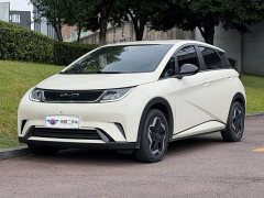 BYD Dolphin 405km Freedom Edition - ფოტო 1