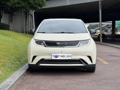 BYD Dolphin 405km Freedom Edition - ფოტო 2