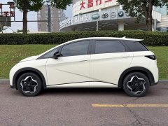 BYD Dolphin 405km Freedom Edition - ფოტო 3