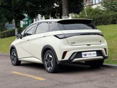 BYD Dolphin 405km Freedom Edition - ფოტო 4