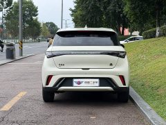 BYD Dolphin 405km Freedom Edition - ფოტო 5