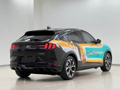 Ford Mustang Mach-E 2021 Boundless RWD Luxury Long Range - ფოტო 6