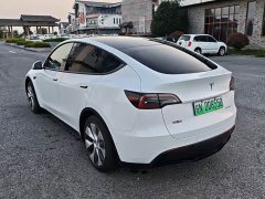 Tesla Model Y Rear-Wheel Drive - ფოტო 8