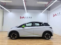 BYD Dolphin 405km Fashion Edition - ფოტო 4