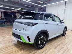 BYD Dolphin 405km Fashion Edition - ფოტო 5