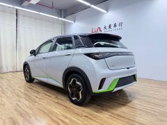 BYD Dolphin 405km Fashion Edition - ფოტო 6