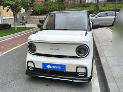 Geely Panda 210km Panda Kart CATL Edition - ფოტო 2