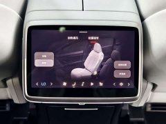 Nio Lerado L60 2024 60kWh Rear-Wheel Drive - ფოტო 13