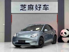 Tesla Model Y Long Range All-Wheel Drive - ფოტო 1