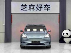 Tesla Model Y Long Range All-Wheel Drive - ფოტო 2