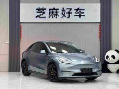 Tesla Model Y Long Range All-Wheel Drive - ფოტო 3