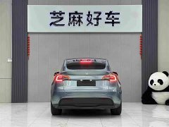 Tesla Model Y Long Range All-Wheel Drive - ფოტო 5