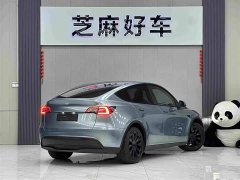 Tesla Model Y Long Range All-Wheel Drive - ფოტო 6