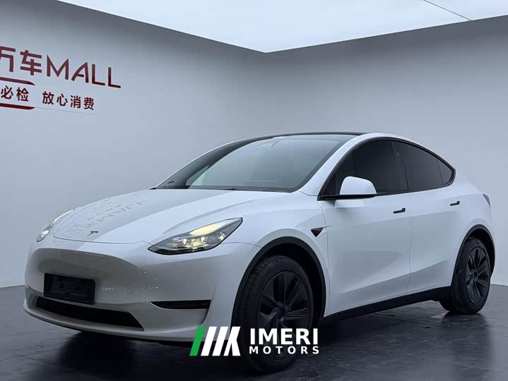 Tesla Model Y Rear-Wheel Drive - ავტომობილი ჩინეთიდან
