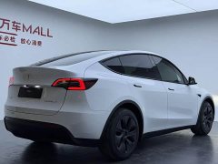 Tesla Model Y Rear-Wheel Drive - ფოტო 14