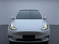 Tesla Model Y Rear-Wheel Drive - ფოტო 2