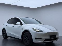 Tesla Model Y Rear-Wheel Drive - ფოტო 3
